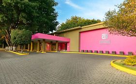 Camino Real Guadalajara